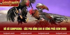 đá gà campuchia